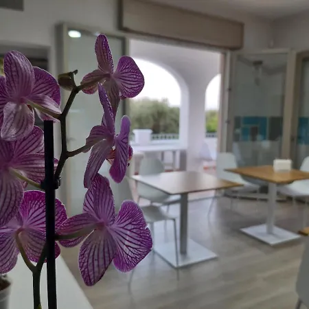 Shekhinah Restaurant B&B 마루지오